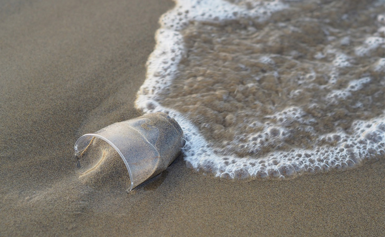 Plástico en el océano: Verdaderas consecuencias