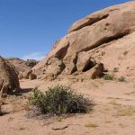 Oasisamérica: qué es, características y culturas - Blog