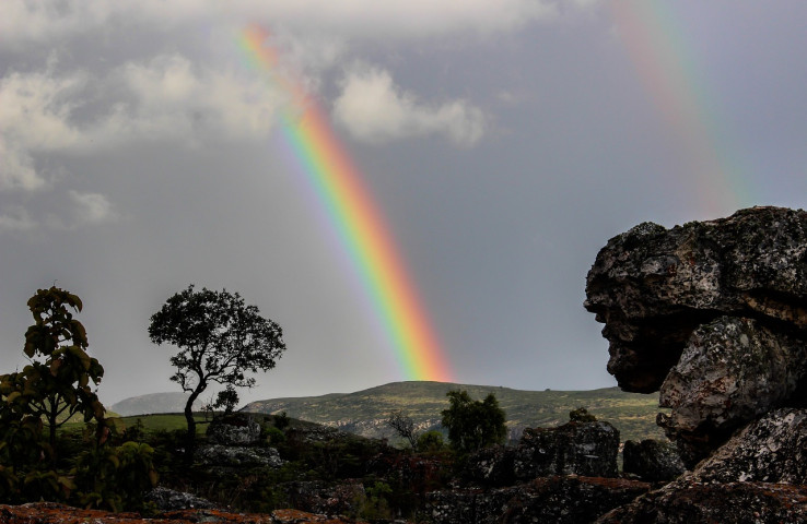 ¿Qué es el valor ecológico?