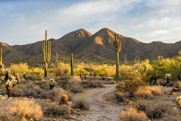 Biodiversidad de México