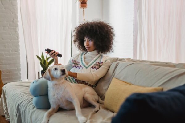 peliculas y programas de tv de madelyn cline