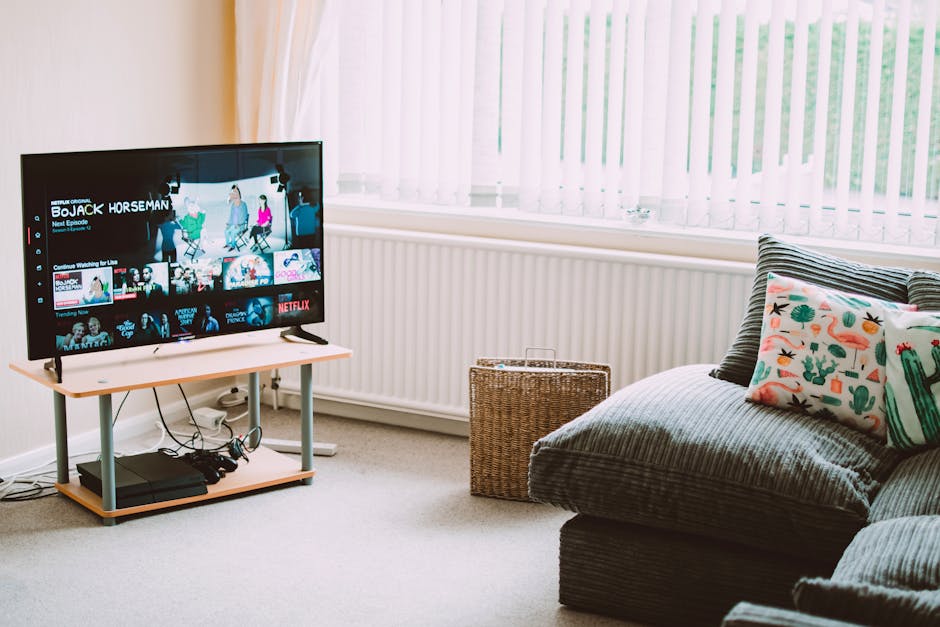 peliculas y programas de tv de stanley tucci