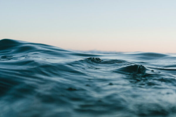 Día Mundial de los Océanos