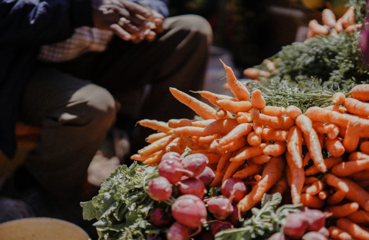 Soberanía alimentaria