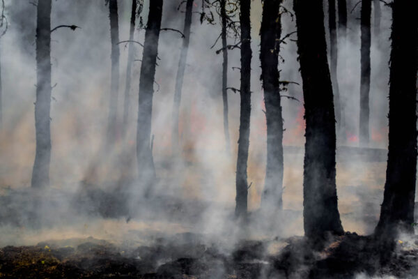 Incendio